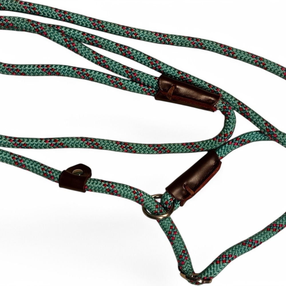 No Pull Dog Leash - Picture 2 of 3